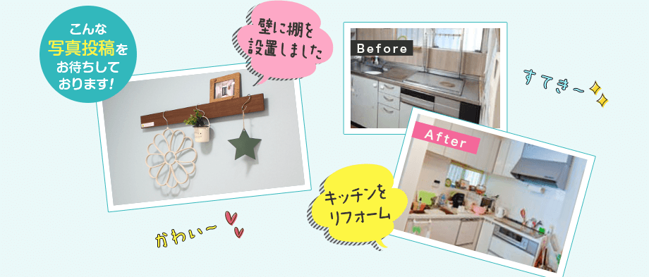 こんな写真投稿をお待ちしております